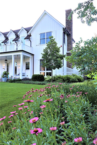 Modern Tranquility