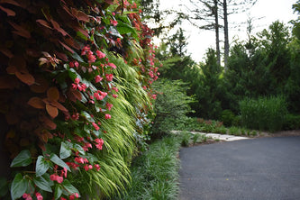 Winnetka Residence