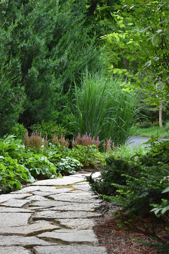 Winnetka Residence