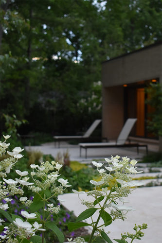 Winnetka Residence