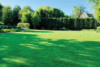 Winnetka Estate