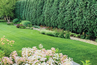 Winnetka Estate
