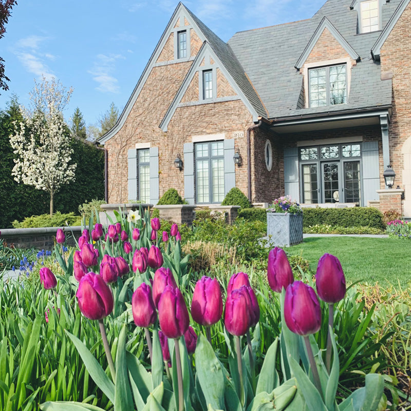 Landscape | A La Carte Services