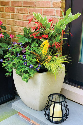 Wilmette Sanctuary
