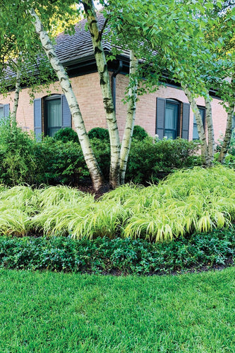 Wilmette Sanctuary