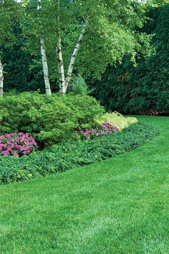Wilmette Sanctuary