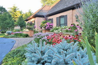Wilmette Sanctuary
