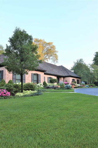 Wilmette Sanctuary