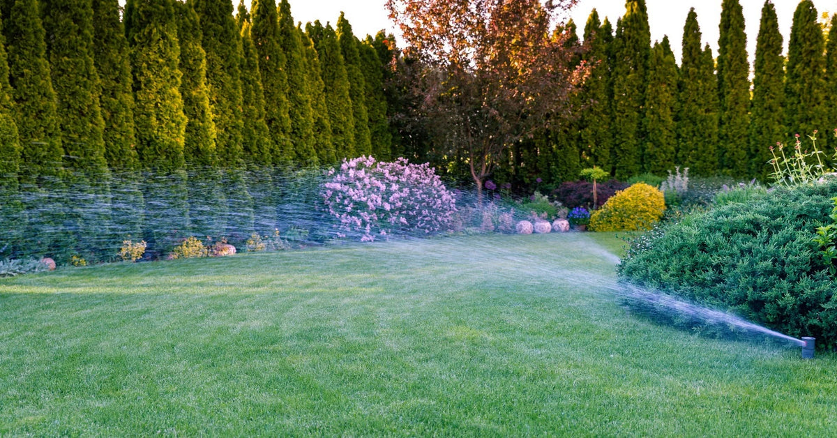 watering sprinkler landscape