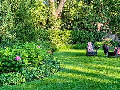 Where To Start When Planning A Landscape Renovation