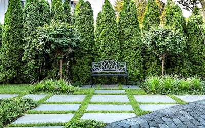 Structured Elegance or Wild Charm — Which Landscape Style Fits You?