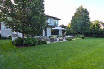 Northbrook Modern Elegance