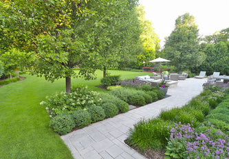 Northbrook Modern Elegance