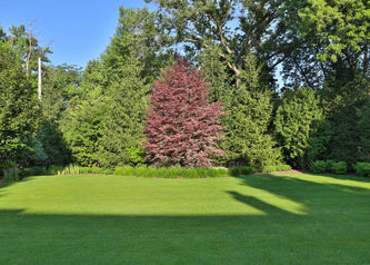 Northbrook Modern Elegance