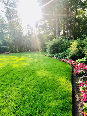 Lake Forest Preserve