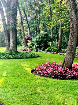 Lake Forest Preserve