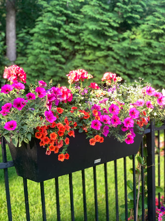 Lake Forest Preserve