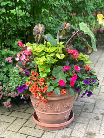 Lake Forest Preserve