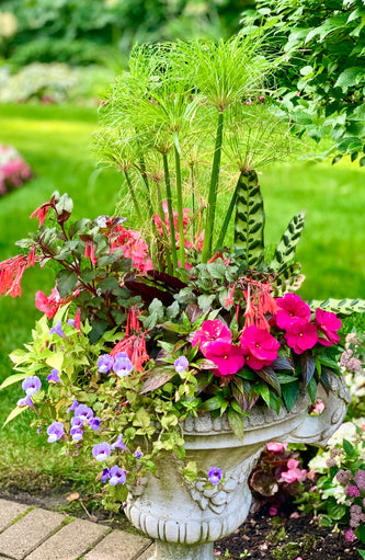 Lake Forest Preserve