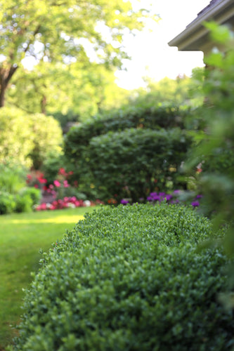 Lake Forest Preserve