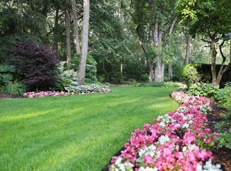 Lake Forest Preserve