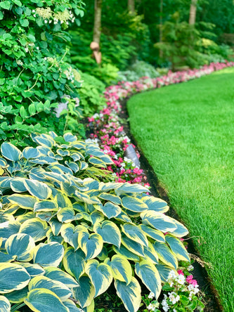 Lake Forest Preserve
