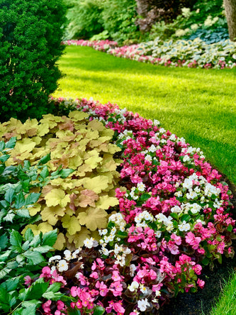 Lake Forest Preserve