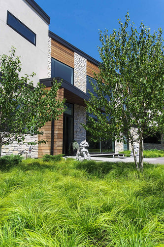 Contemporary Serenity