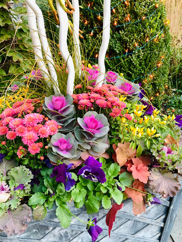Chalet Landscape Enhancement Services