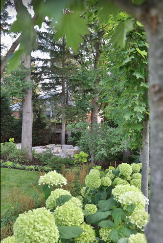 Evanston Rustic Escape