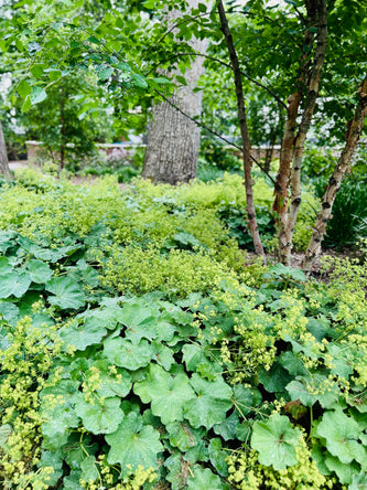 Lake Geneva Sanctuary