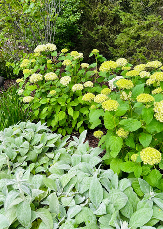 Lake Geneva Sanctuary