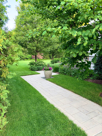 Northbrook Modern Elegance