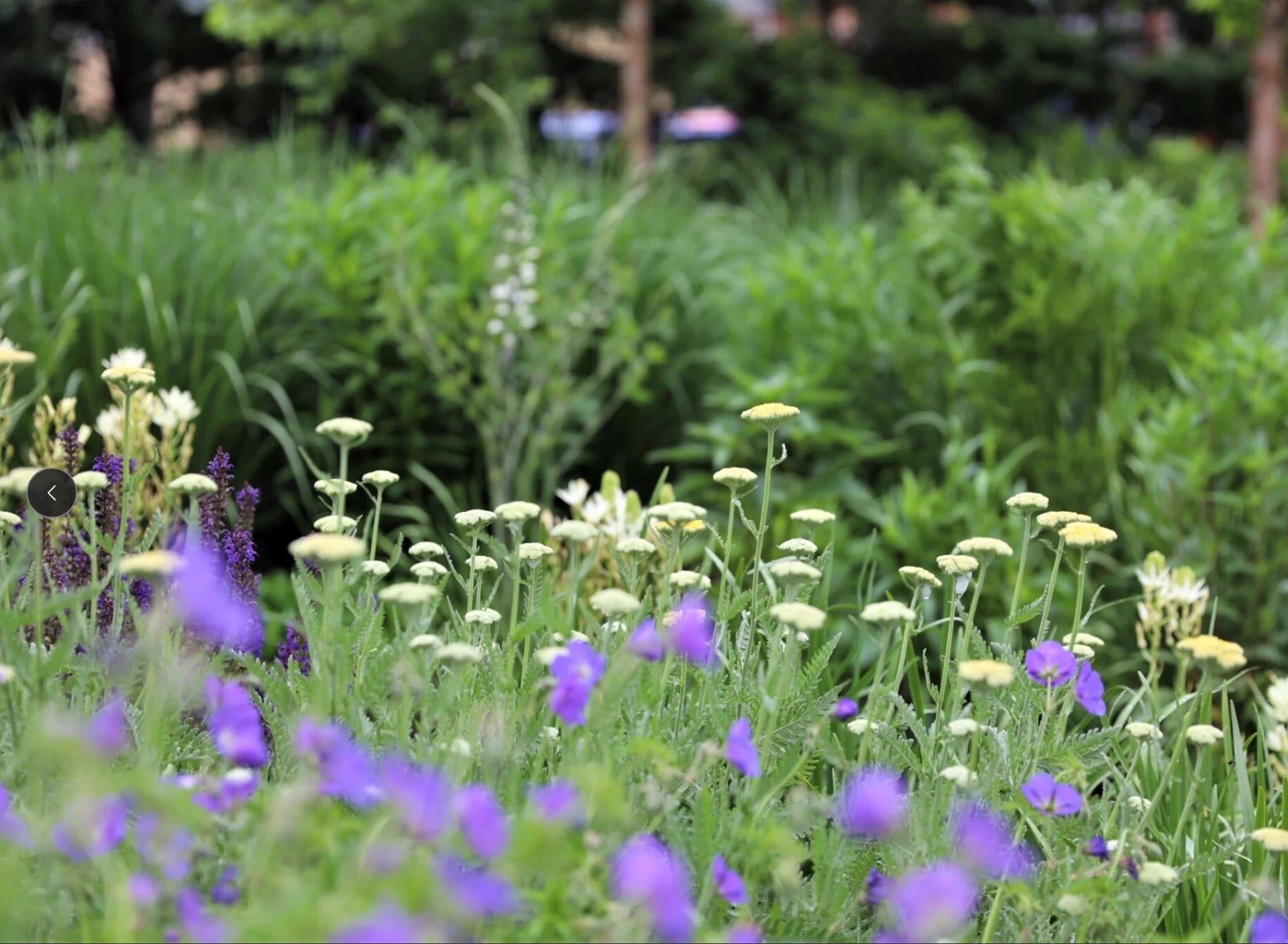 Landscape Management