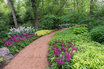 Highland Park Serenity