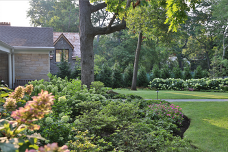 Evanston Rustic Escape