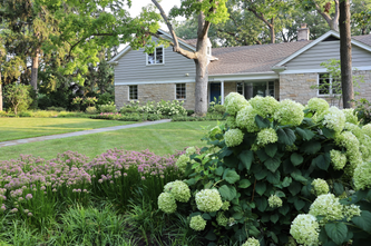 Evanston Rustic Escape