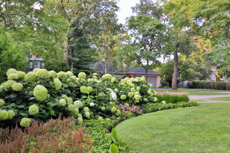 Evanston Rustic Escape