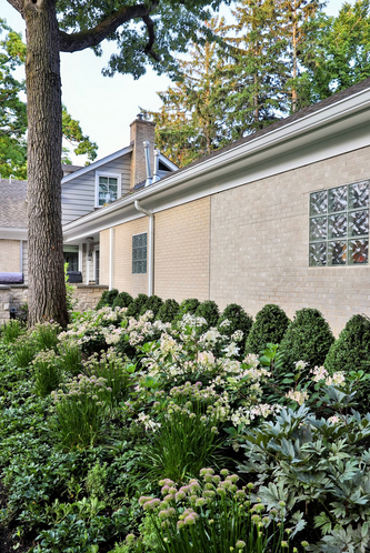 Evanston Rustic Escape