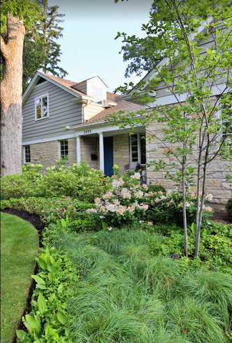 Evanston Rustic Escape