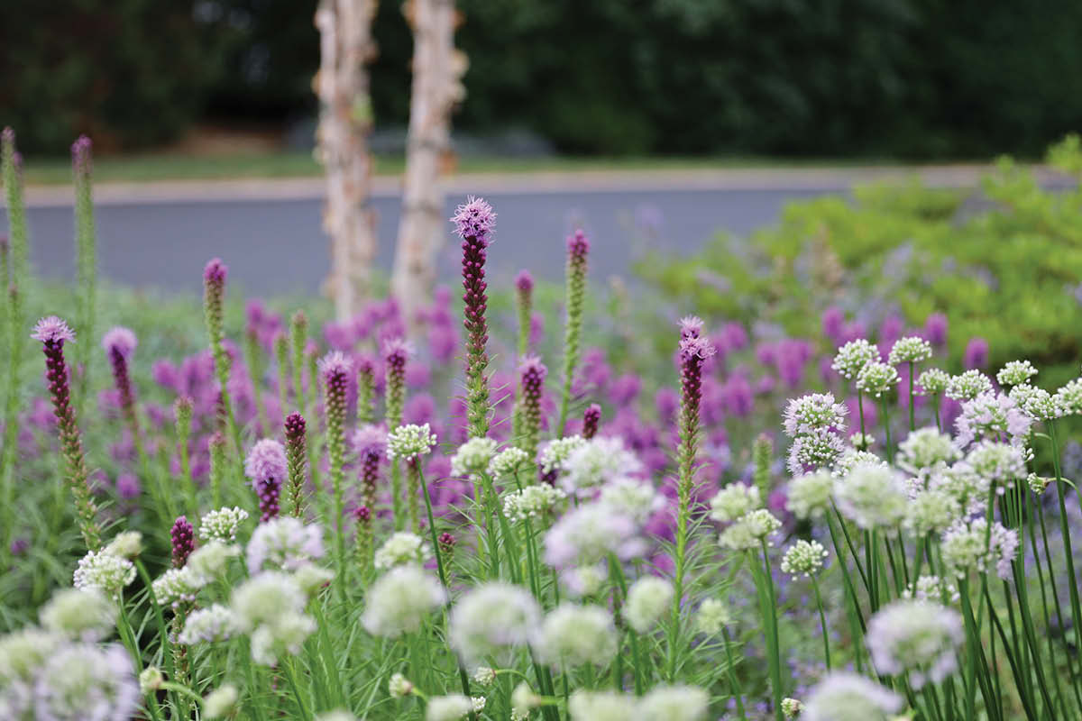 Commercial Maintenance Services