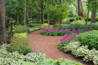 Highland Park Serenity