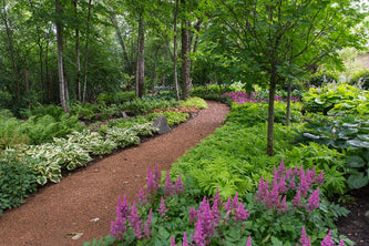 Highland Park Serenity