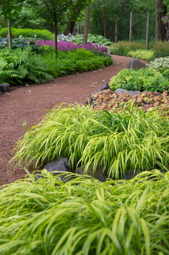 Highland Park Serenity