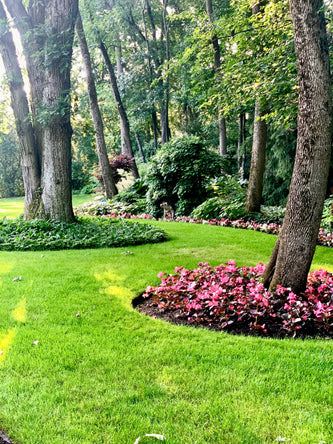 Lake Forest Preserve