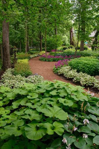 Highland Park Serenity