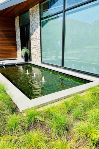 Contemporary Serenity