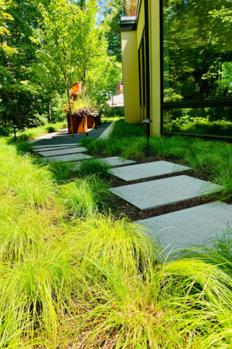 Contemporary Serenity